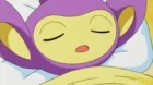 Pokemon Advanced episodio 183