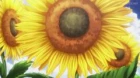 Photo Kano episodio 3