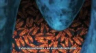 Zettai Boei Leviathan episodio 3