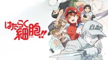 Hataraku Saibou 2nd Season episodio 8