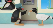 Pingu in the City 2nd Season episodio 26