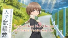 Seishun Buta Yarou wa Odekake Sister no Yume wo Minai episodio 1